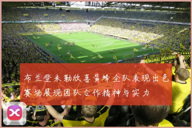 布兰登米勒欣喜黄蜂全队表现出色赛场展现团队合作精神与实力