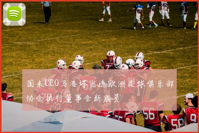 国米CEO马洛塔当选欧洲足球俱乐部协会执行董事会新成员